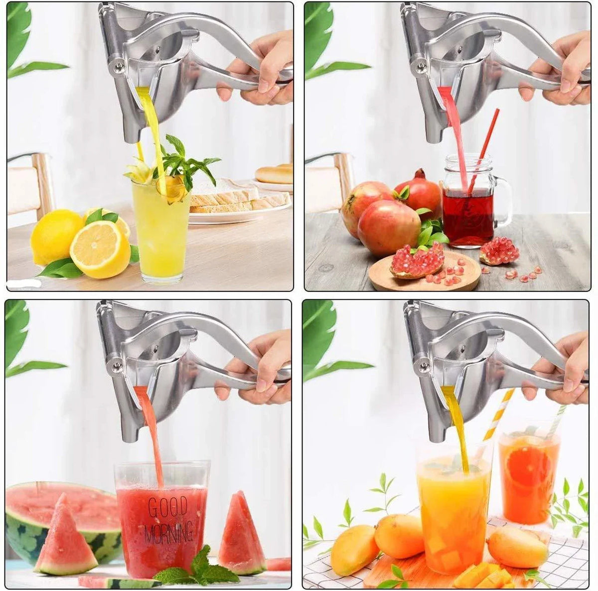 Aluminium Fruit Juicer